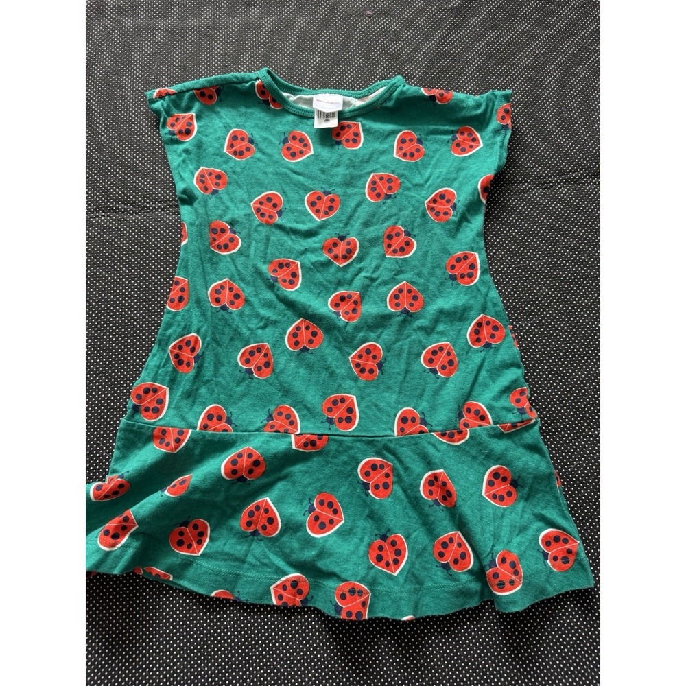 Hanna Andersson 3T Short Sleeve Lady Bug Love Hearts Pocket Skater Dress Green